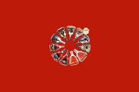 泾川回收红酒
